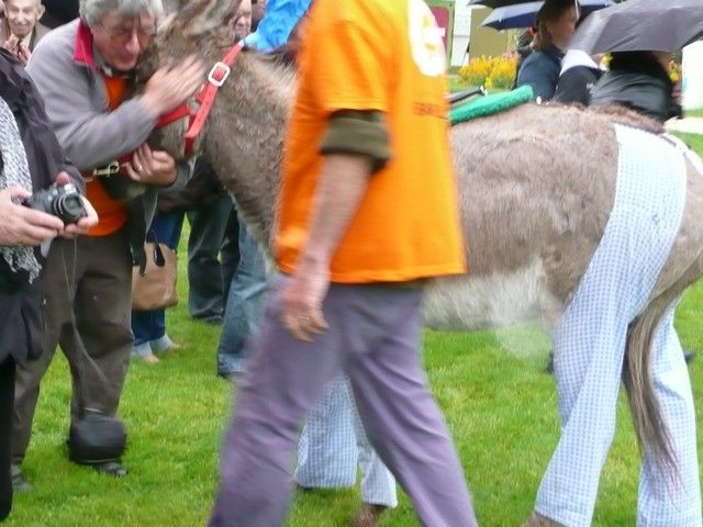 rodho 2013 (56).jpg